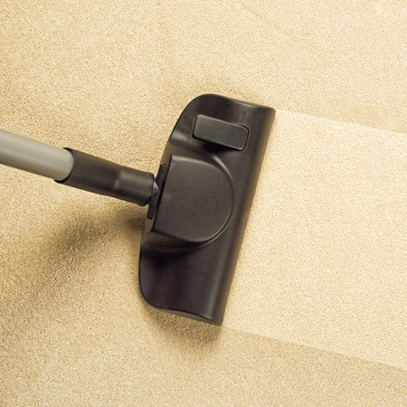 Clean Vacuumed Carpet Stripe Clean Vacuumed Carpet Stripe